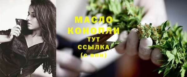 2c-b Ельня