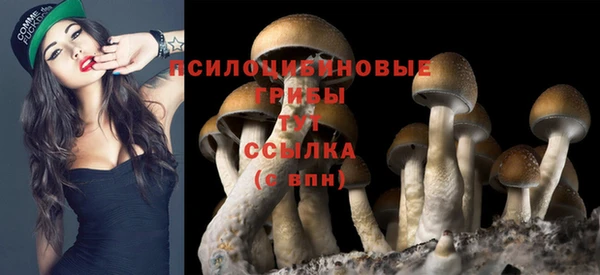 меф VHQ Куйбышев