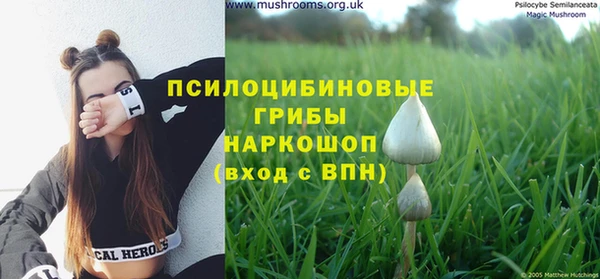 spice Кулебаки