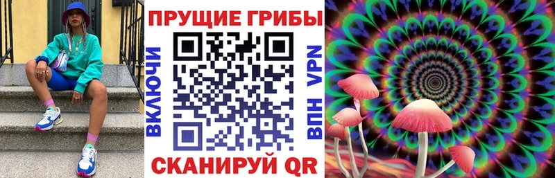как найти наркотики  Ковров  Псилоцибиновые грибы прущие грибы 