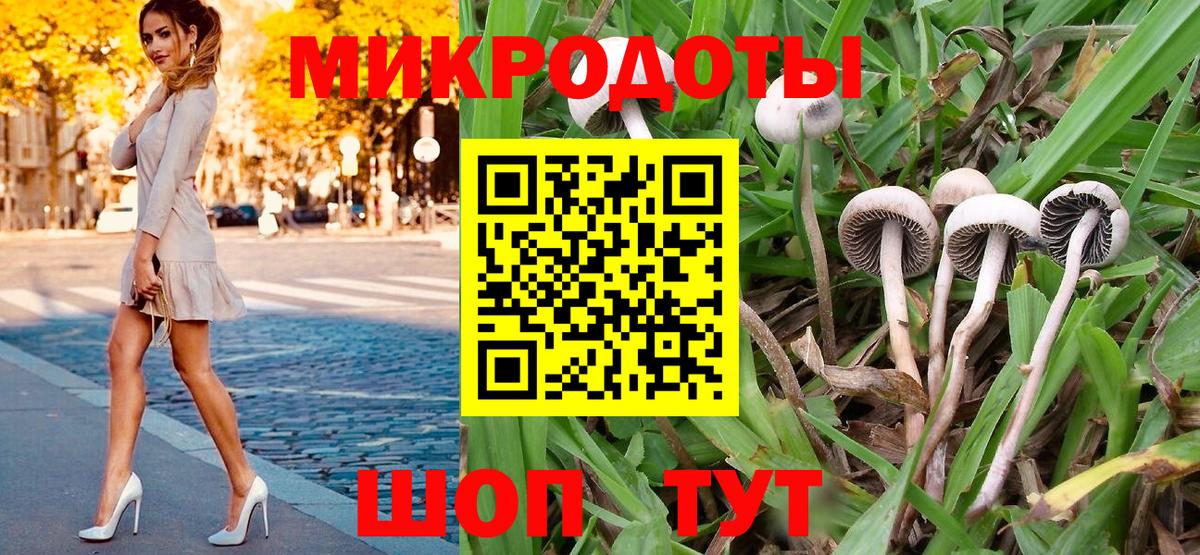 Псилоцибиновые грибы GOLDEN TEACHER  Вход с VPN  Ковров  Галлюциногенные грибы мухоморы 