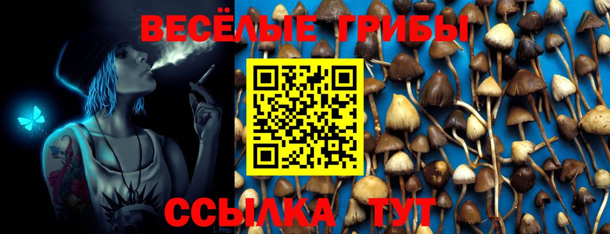 Псилоцибиновые грибы GOLDEN TEACHER Ковров