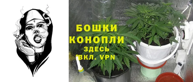 Бошки Шишки SATIVA & INDICA  mega вход  Ковров 